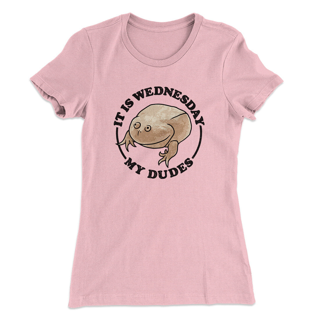 It Is Wednesday My Dudes Women's T-Shirt