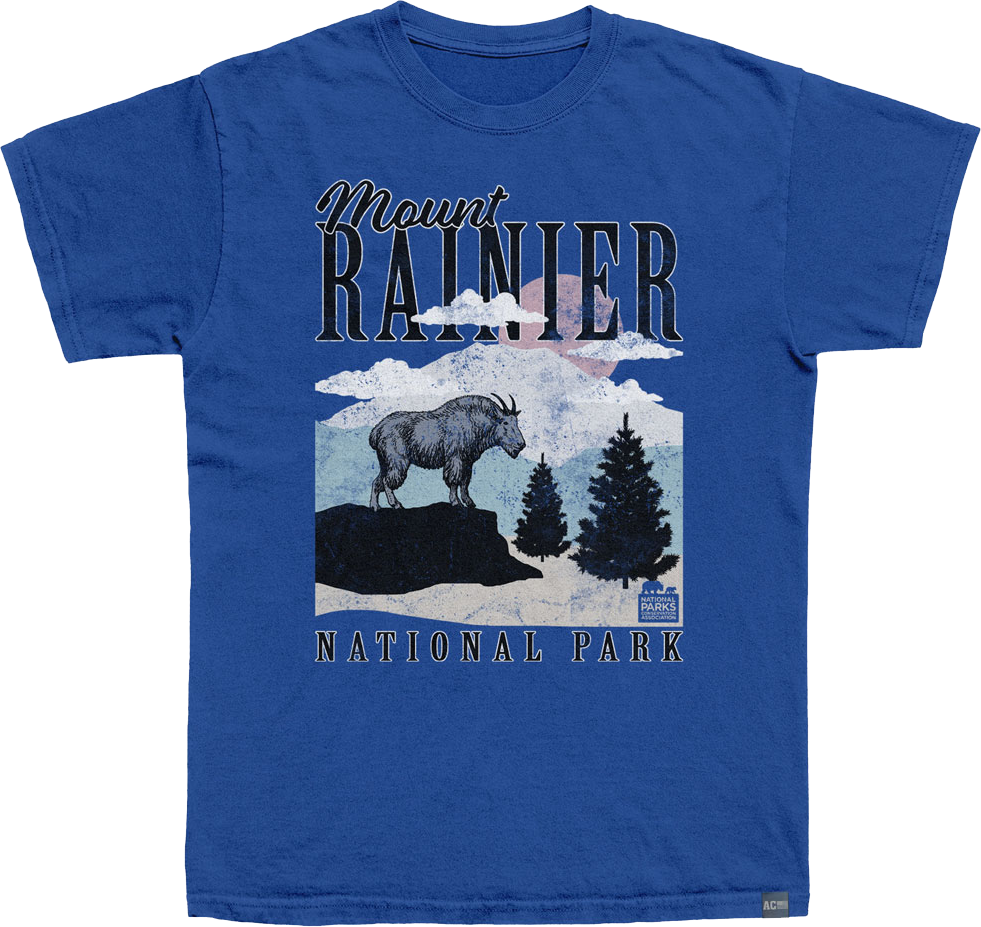 Made In USA Ranier Minimalist Landscape NPCA T-Shirt