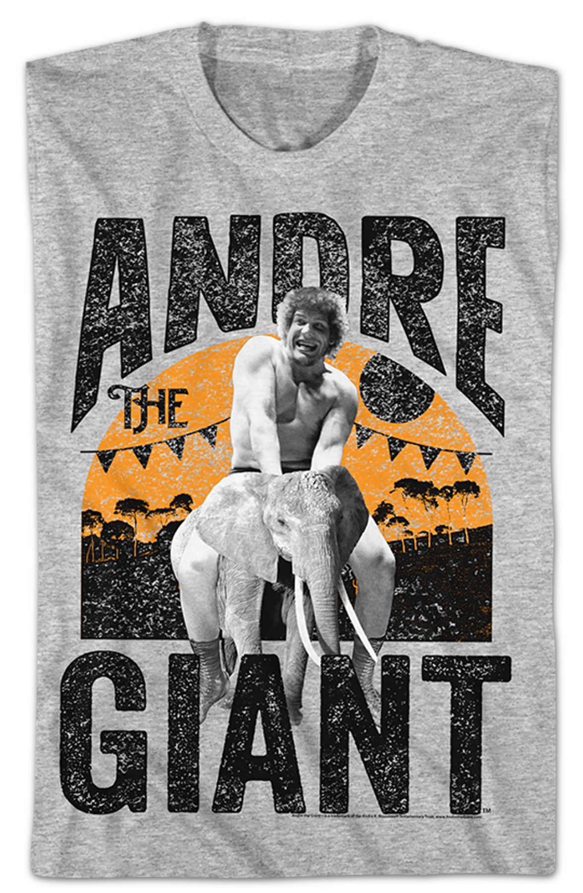 Riding An Elephant Andre The Giant T-Shirt
