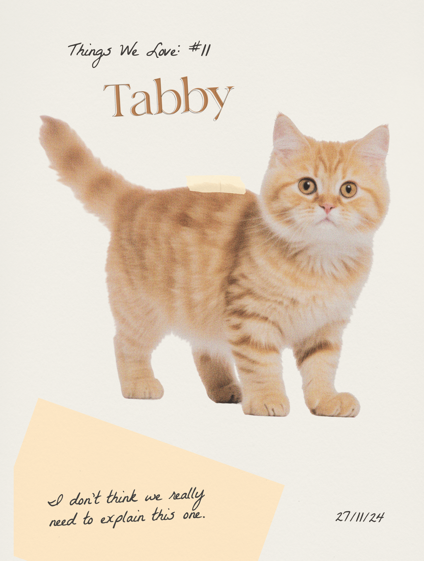 tabby baby tee