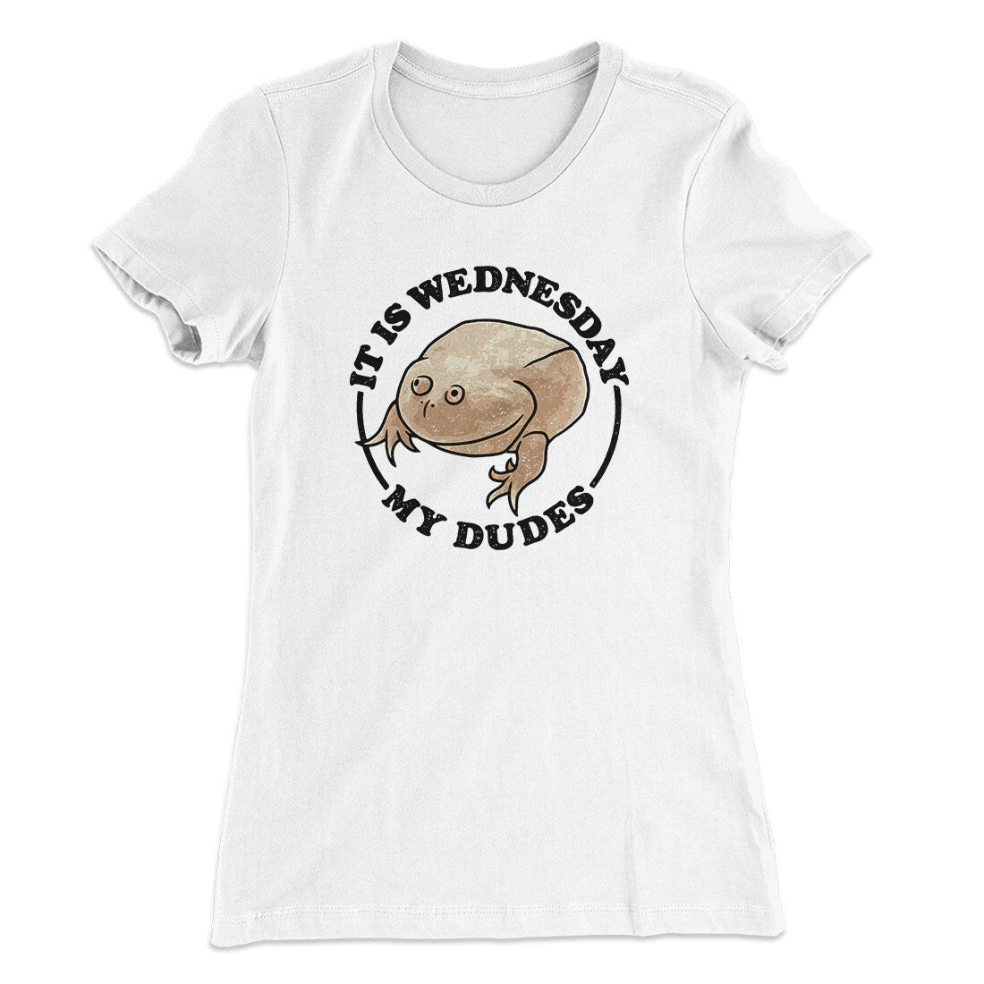 It Is Wednesday My Dudes Women's T-Shirt